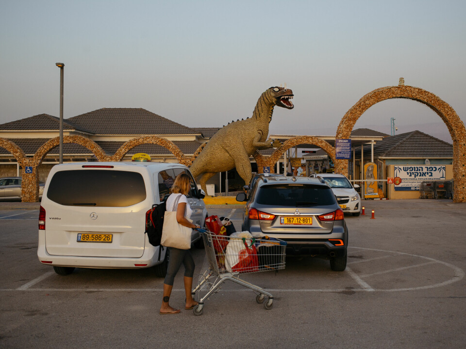 Oss og dyrene: Mennesker utgjør 36 prosent av pattedyrene på planeten og ville dyr bare 4 prosent. Vil vi utryddes, sånn som dinosaurene? Her fra Biankini ved Dødehavet, 2019. Antropocen
