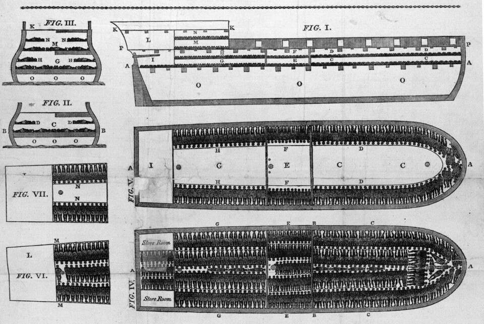Om epidemiologisk kunnskap står på rasismens skuldre, hva betyr det for hvordan vi betrakter populasjonsdata, hvordan de blir til, og hvem som eier dem? Her: Diagram fra 1887 over slaveskipet Brookes som viser hvordan 454 mennesker ble stappet sammen. Slaveri
