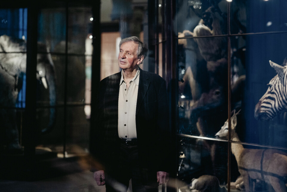Besøkte Darwin-salen: Rupert Sheldrake likte de naturhistoriske samlingene i Bergen godt, og sier han er inspirert av Charles Darwin når han samler data til sine omdiskuterte eksperimenter. Sheldrake mener forskere som vil gjenskape eksperimentene, risikerer karrieren. – Hvis du vil undersøke telepati mellom mennesker og hunder, et av temaene jeg jobber med, vil de fleste vitenskapelige institusjoner bare le av deg, sier han.