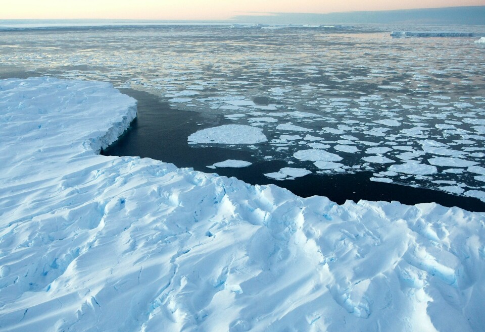 Foto: Torsten Blackwood /Getty Images