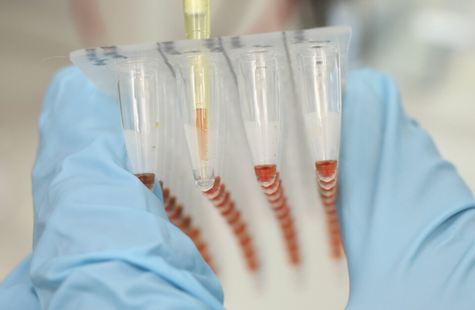 Ingen hadde sett for seg at forskning på bakteriers immunsystem hadde potensial til å revolusjonere bioteknologi. Så kom Crispr. Foto: Sean Gallup / Getty images