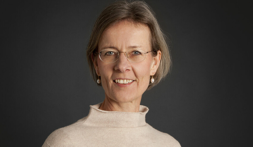 Søsterens versjon: Helga Hjorth reagerte på søsteren Vigdis Hjorths roman Arv og miljø, nå har hun tatt til motmæle med en egen roman. Foto: Sturlason