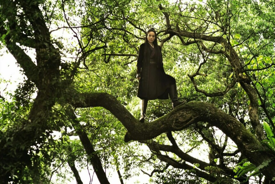 The Assassin