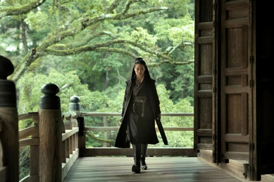 The Assassin