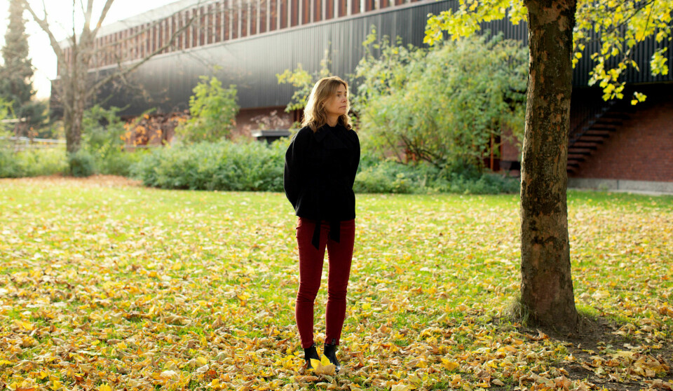 Gjennom lobbymuren: – Politikerne har utvilsomt lov til å ha egne meninger. Det eneste vi som forskere kan håpe på, er at kunnskapen vi formidler, blir lyttet til – og lyttet til i like stor grad som de oppfatningene særinteresser formidler, sier professor Karen Helen Ulltveit-Moe. Foto: Christian Belgaux