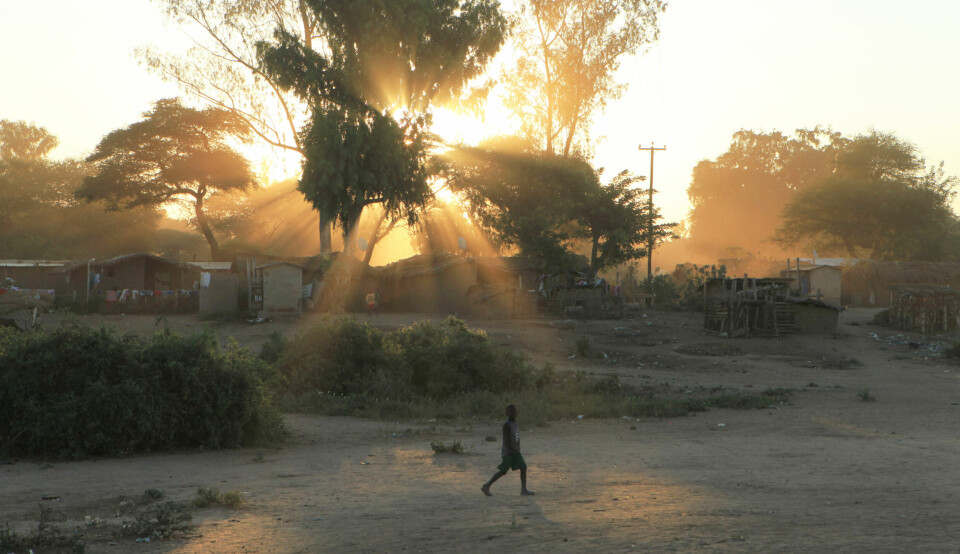 Magisk realisme: Siphiwe Gloria Ndlovu fra Bulawayo i Zimbabwe hinter til et slektskap med latinamerikansk litteratur i debutromanen The Theory of Flight. Foto: Tsvangirayi Mukwazhi / Ap / NTB scanpix