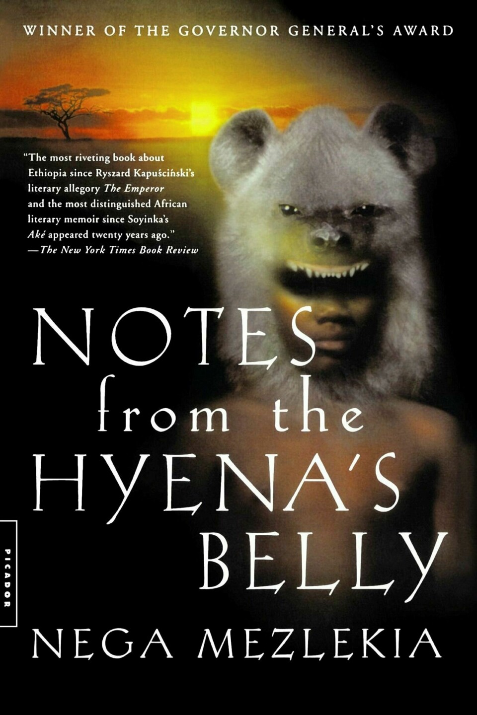 Halvkvalte skrik fra hyenens mage