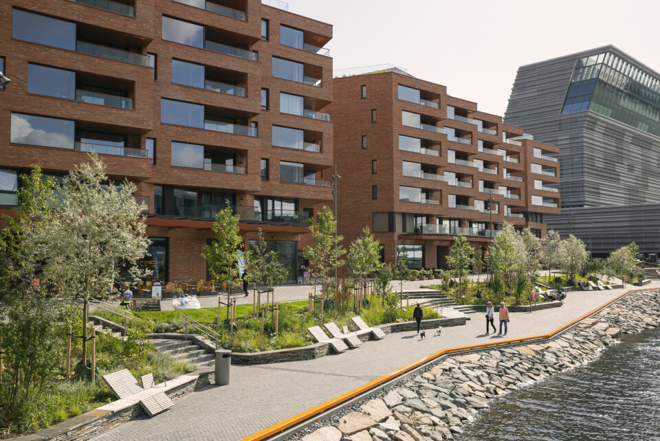 Vi er vant til harselas med Munchmuseet og Bjørvika, men plutselig er jeg ikke sikker: Er ikke dette bare masochistisk selvpisking der vi glemmer den store helheten, spør Gaute Brochmann. Munch brygge, Bjørvika