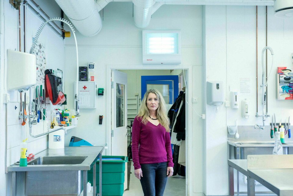 Får kritikk: Seniorforsker ved Anne-Katrine Lundebye ved Havforskningsinstituttet, tidligere Nifes, skulle ha informert om at forskningen hennes var finansiert av lakse- og fôrnæringen, mener EUs mattrygghetsorgan Efsa. Foto: Eivind Senneset / Dagens Næringsliv