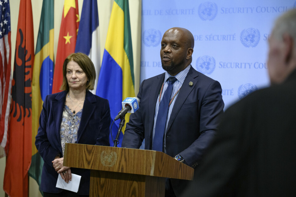 Ukraina-krigen: – Afrikanske land følger sine egne interesser