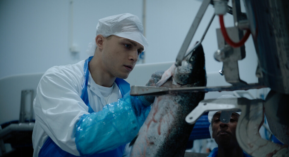 Denne ukens filmpodkast handler om Norwegian Dream og arbeidsinnvandring på film. Norwegian Dream