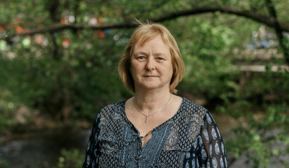 Advarer mot «preprinter»: Gunn Elisabeth Vist, som arbeider med kunnskapsoppsummering ved FHI, forteller at flere ikke-fagfellevurderte preprinter om koronapandemien blir trukket tilbake. Foto: Sofie Amalie Klougart