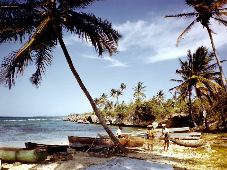 Patrick Leigh Fermor skriver om rundt et dusin av Antillene, fra Jamaica til Trinidad, og samtidig som han er opptatt av hvordan folk ser ut, er han klar over at slaveriets redsler danner bakteppet for alt han ser av kulturelt liv, skriver Thomas Hylland Eriksen. Her: Fiskere på Jamaica rundt 1946. Foto: Eliot Elisofon / The LIFE Picture Collection / Getty Images