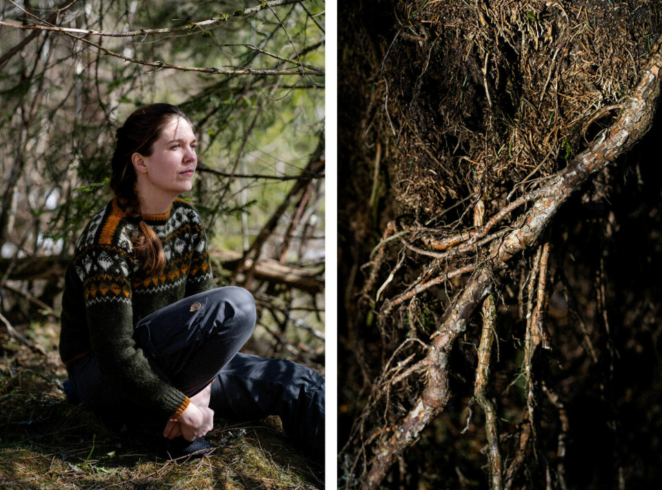 Lene Liebe Delsett meiner det ikkje burde vere opp til kvar enkelt om bokbransjen er med på å bidra til øydelegginga av dei siste, verdifulle gammalskogane.