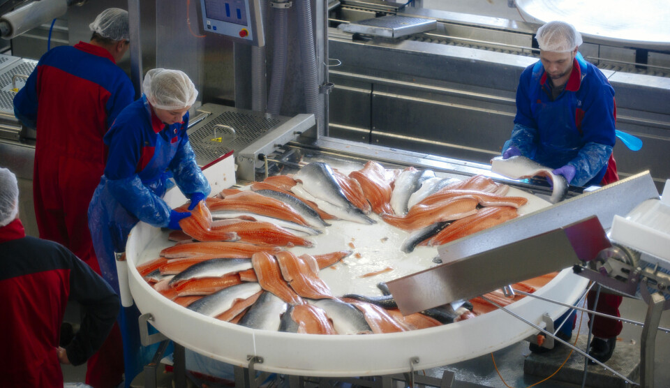 Møte med fiskerministeren: Vi ville ha kontroll på formidlingen og bruken av våre data, skriver Øyvind Kanstad-Hansen og Anders Lamberg. Bildet er fra Salmars anlegg på Frøya. Foto: Kristian Helgesen/Bloomberg /Getty Images