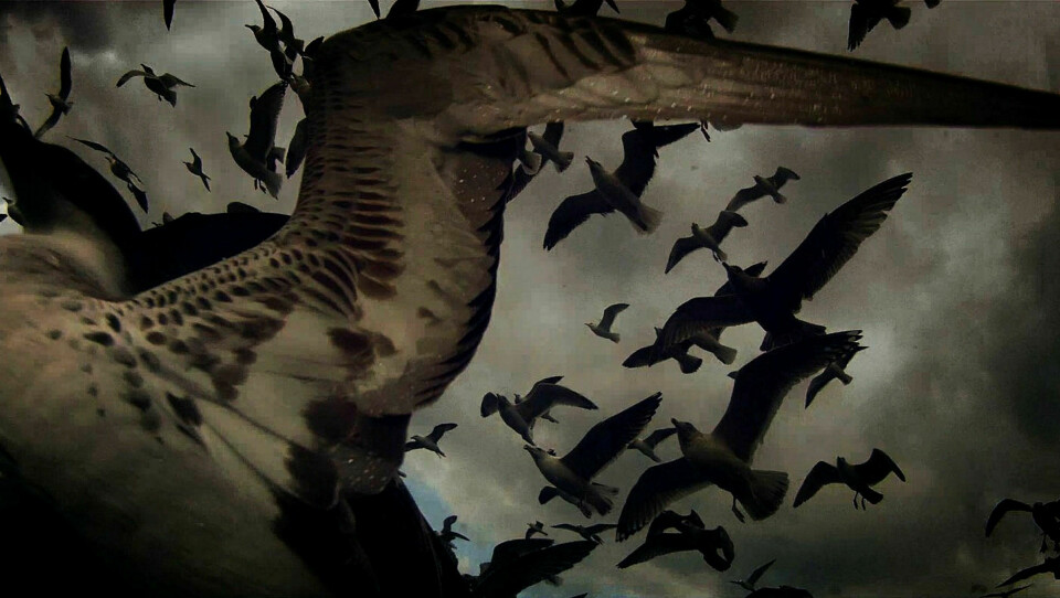 Stillbilde fra Leviathan, dokumentarfilm av Véréna Paravel (2012).