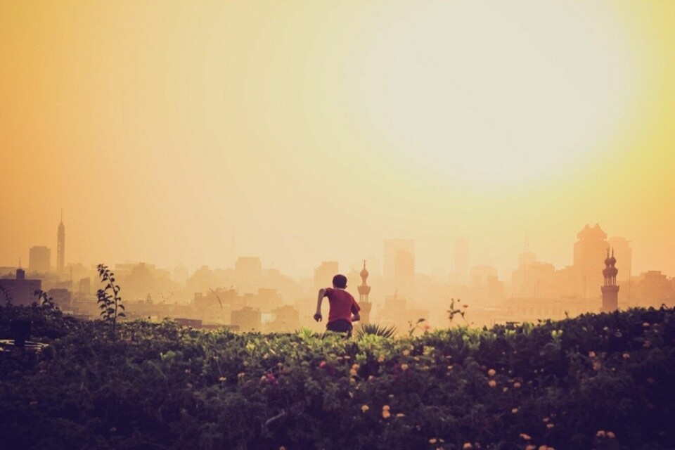 Foto: Linh Nguyen (Unsplash)