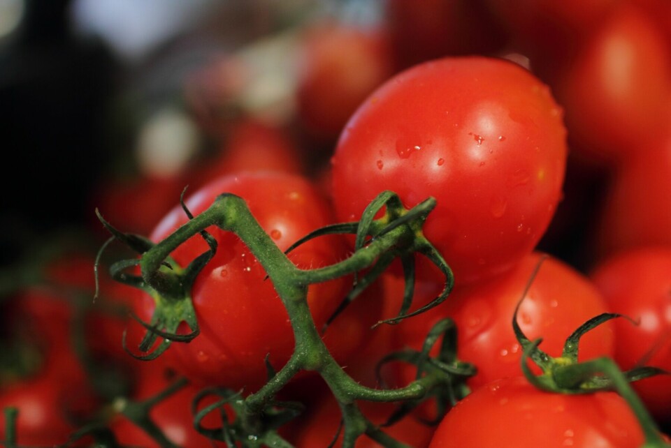 Gazpacho