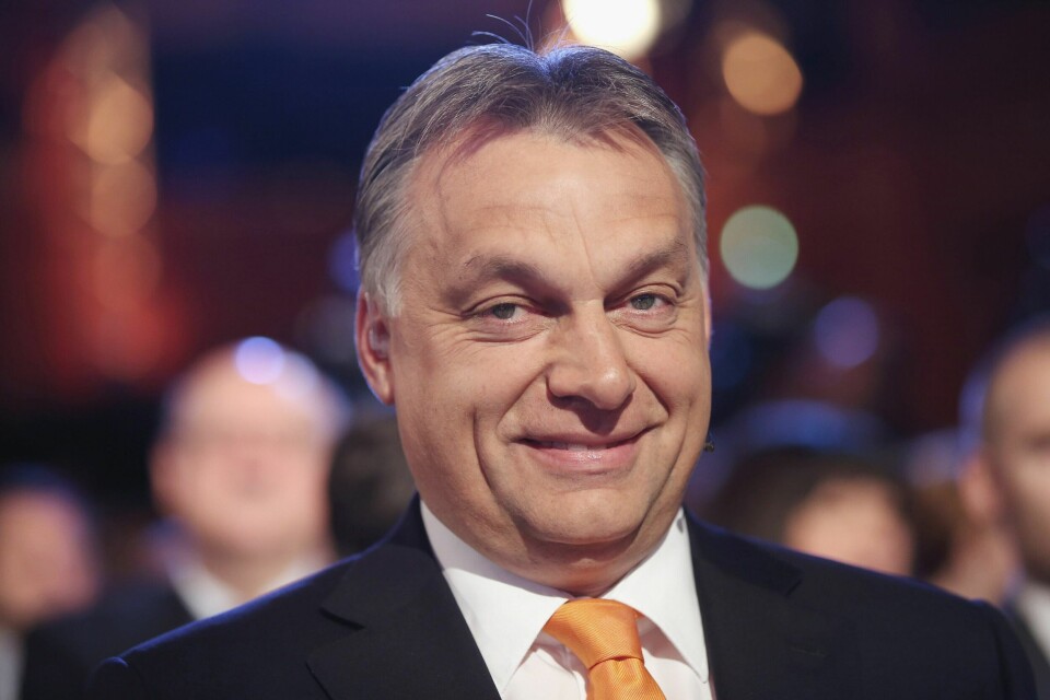 Jublet for Trump: Ungarns president Viktor Orban. Foto: Sean Gallup/Getty Images