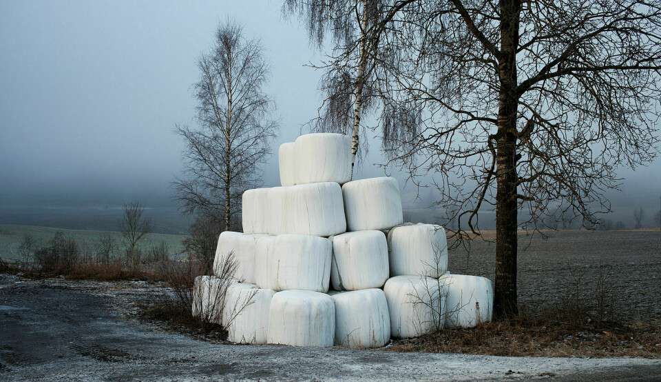 Det er altfor mange mennesker til at de kan forsørges med gammeldagse dyrkingsmetoder, skriver Sven Røgeberg. Bildet er fra Andebu i Sandefjord kommune. Arkivfoto: Knut Egil Wang / Institute