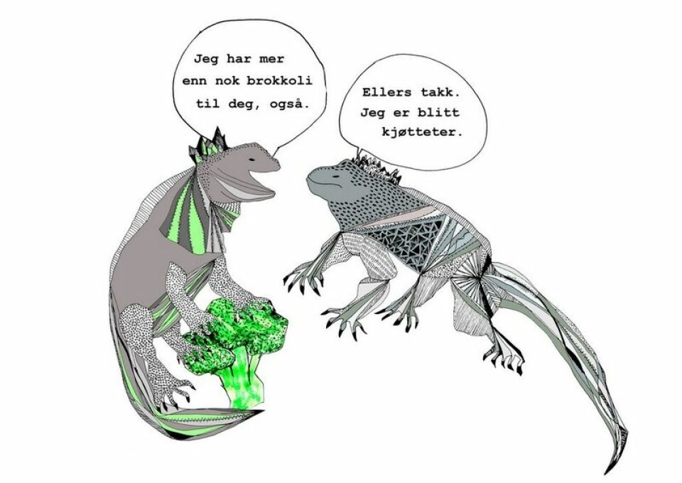 Kreativ evolusjon
