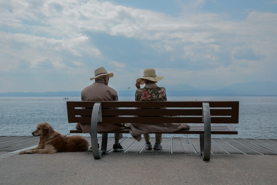 Pensjonisttilværelsen: Kanskje noe du aldri trodde kunne engasjere deg, fenger deg nå? spør artikkelforfatteren. Foto: Nathália Bariani / Unsplash