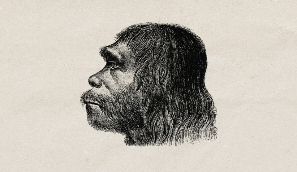 Neandertaler-skandale