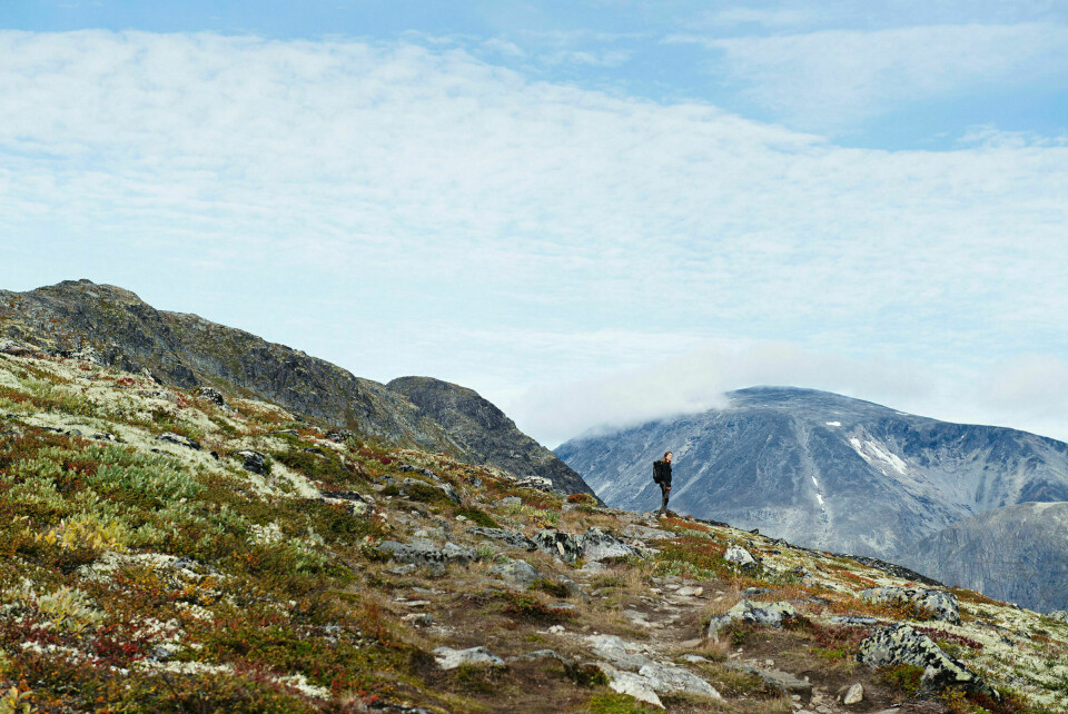 Til fjells: Jazzpianist Maren Selvaag tilbragte to uker i Jotunheimen, hvor hun komponerte musikk om bærekraftig friluftsliv for DNT. Anki Grothe / DNT