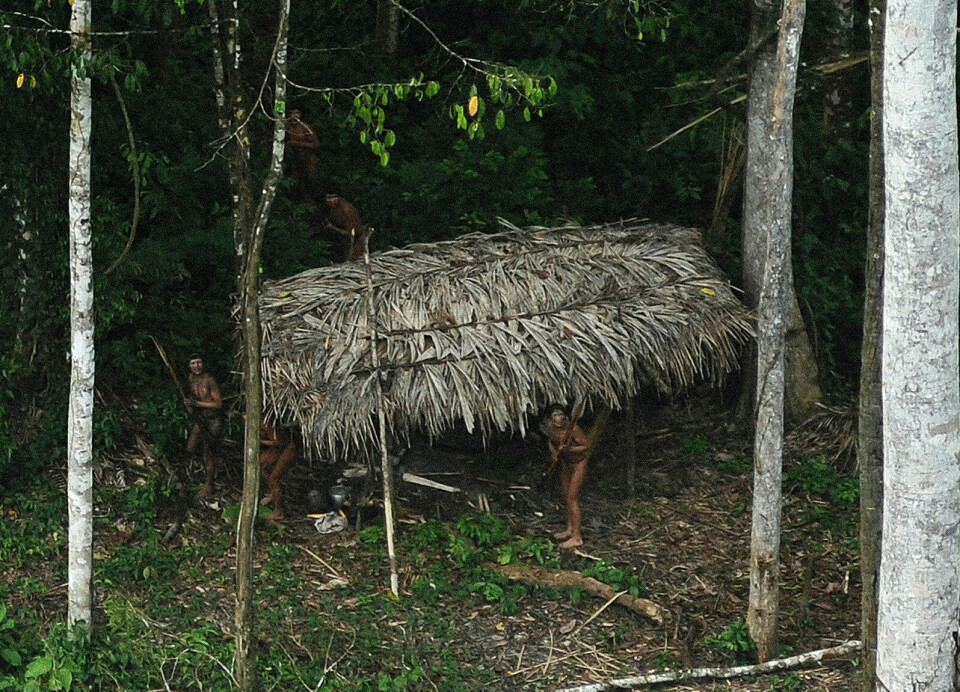 Kristne misjonærene har utarbeidet metoder for hvordan de skal lokke de isolerte urfolksgruppene ut av skogen, skriver Anders C. Krogh. Her: Urfolk i grenseområdet Brasil-Peru, nært ett av de to områdene i Amazonas hvor Krogh selv har bodd. Foto: Lunae Parracho / Reuters / NTB
