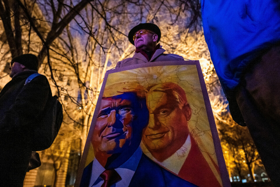 Donald Trump ser ut til å hente autokratisk lærdom fra Ungarns Viktor Orbán. Her: Ungarsk tilhenger av Trump og Orbán feirer presidentinnsettelsen i USA utenfor den amerikanske ambassaden i Budapest, 20. januar. A person wears a sign with Hungarian Prime Minister Viktor Orban and U.S. President Donald Trump on it at an inauguration party held in Budapest outside the U.S. embassy in Budapest, Hungary January 20, 2025.