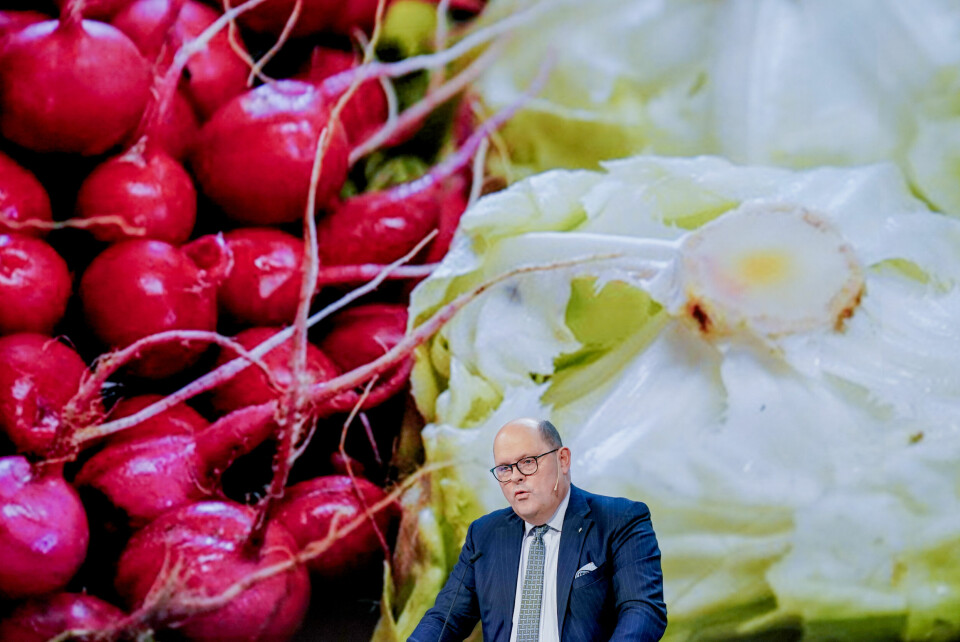 Hva skal vi spise? Leder av NHO Mat og drikke, Petter Haas Brubakk, har gått hardt ut mot matinfluensere, og møter nå motbør fra Marit Kolby. s